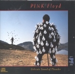 Delicate Sound of Thunder
