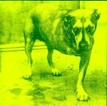 Alice in Chains